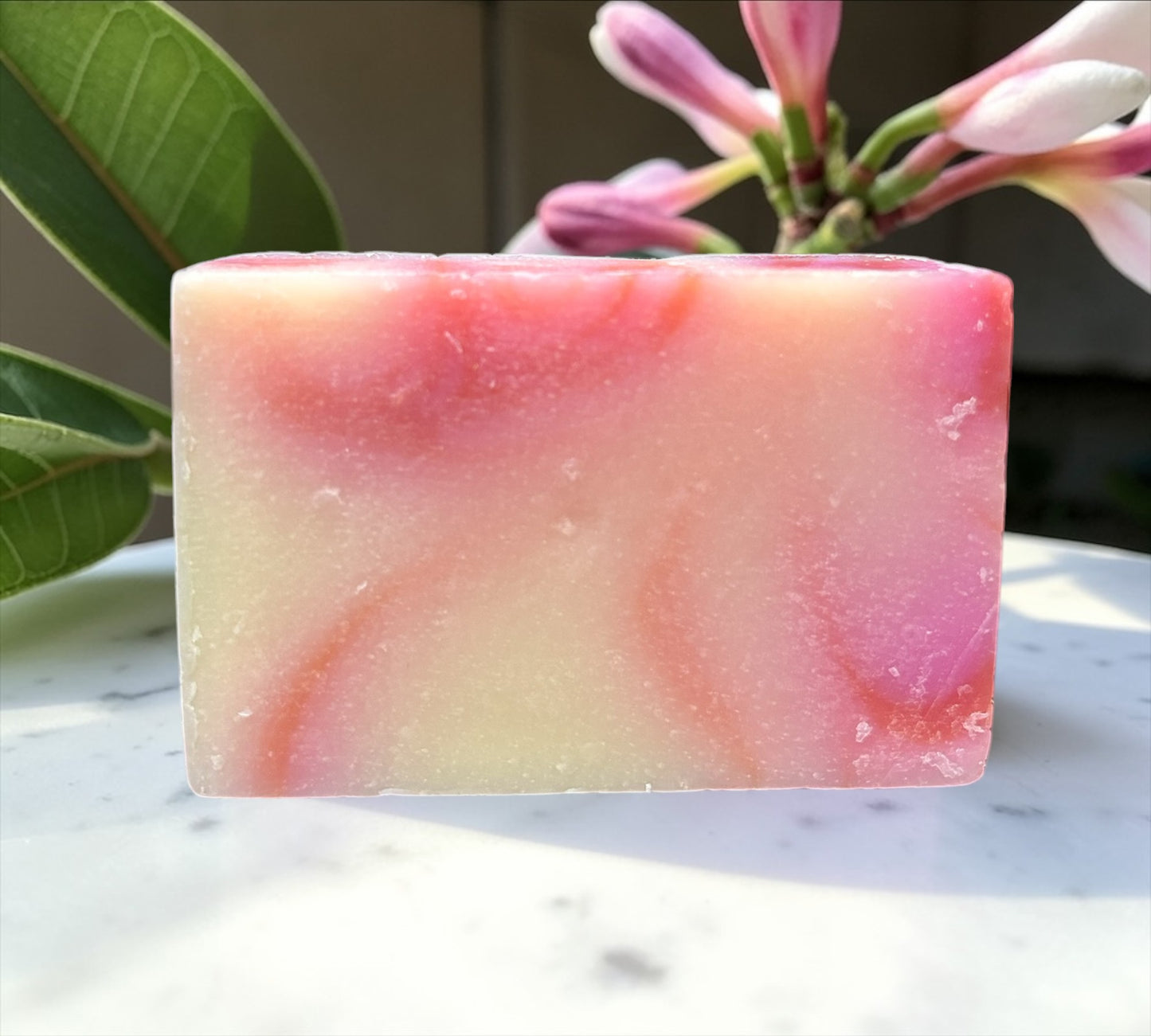 Bud Bliss Botanical Shampoo Bars