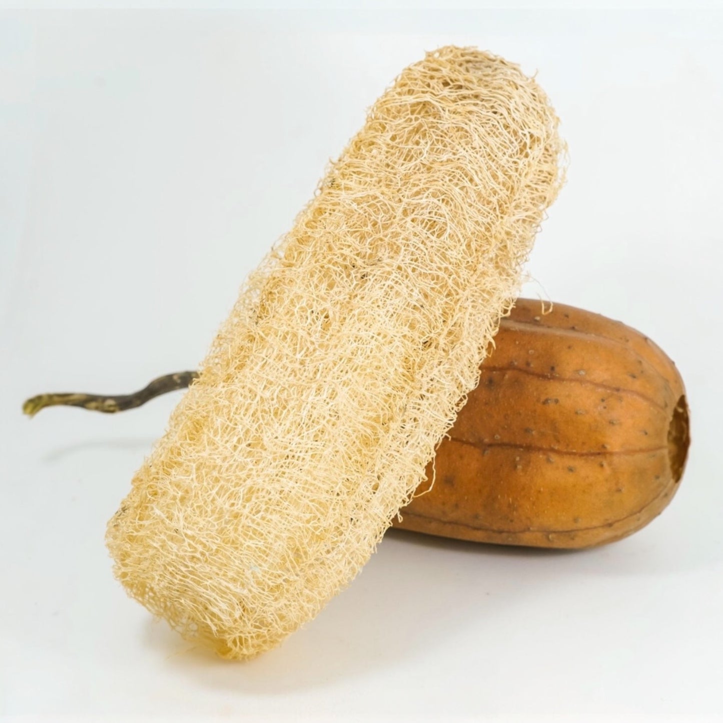 Cut Naturally Grown Loofah - Natural Bath, Face & Body Exfoliating Sponge