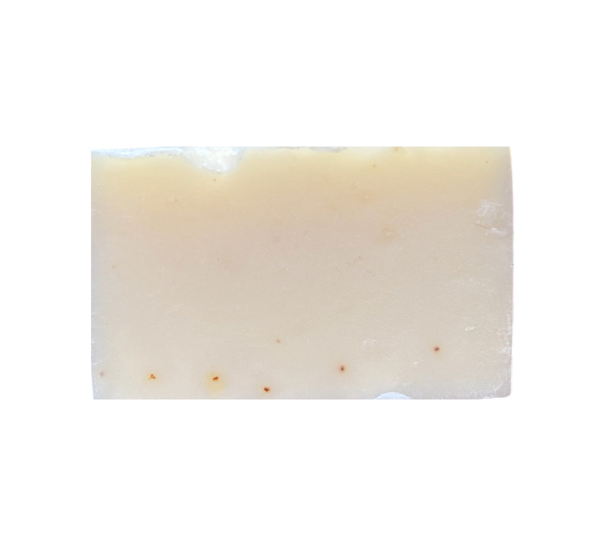 Bud Bliss Full Body Shampoo Bars - Variety Pack