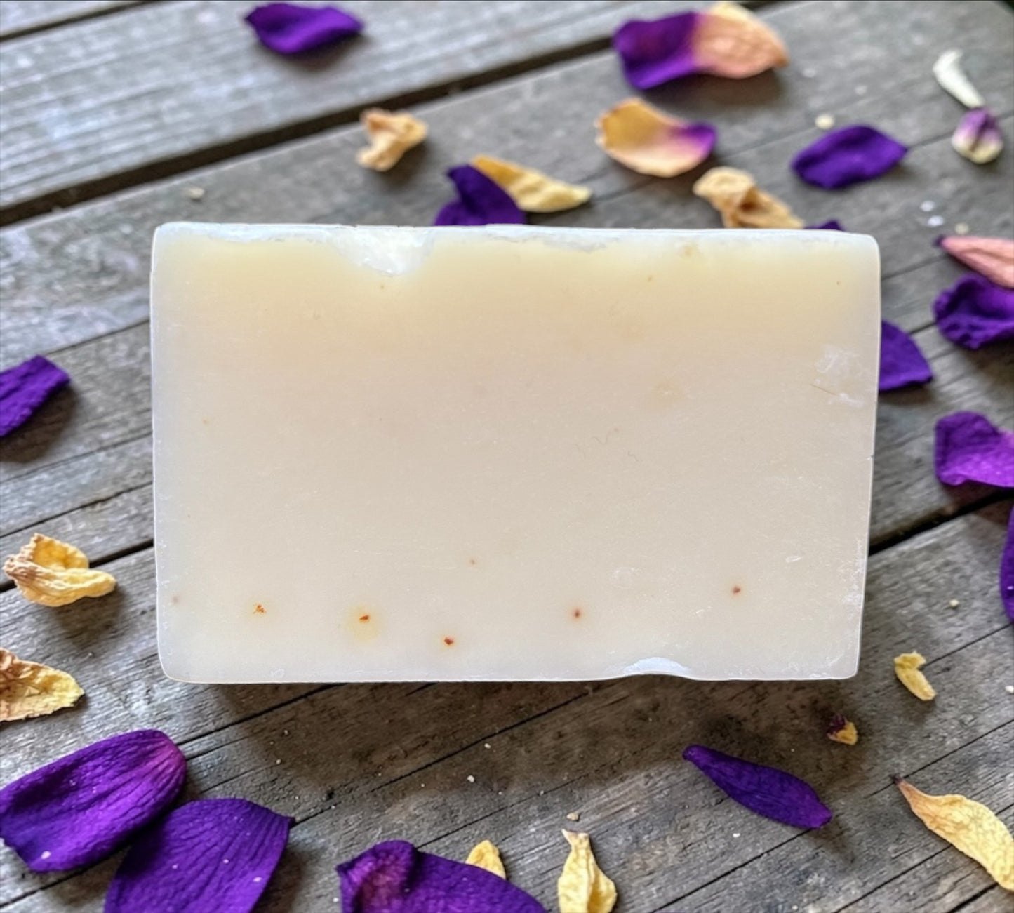 Bud Bliss Botanical Shampoo Bars
