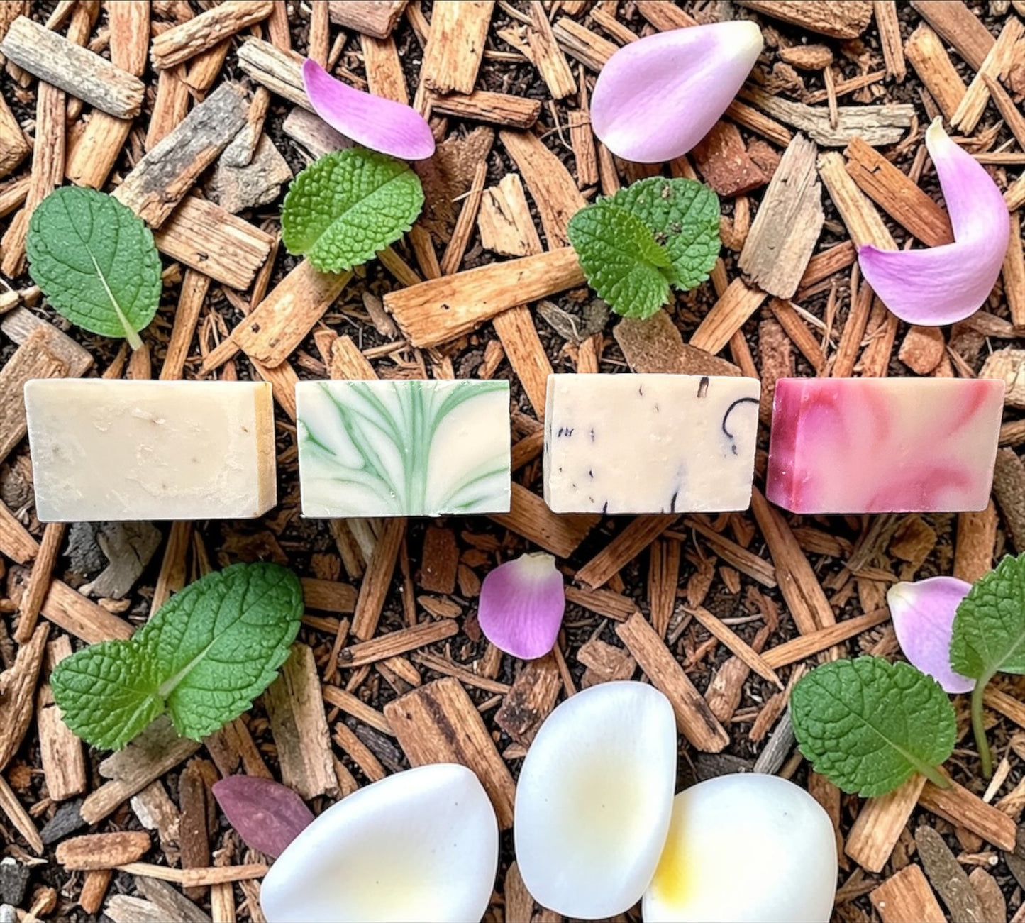 Bud Bliss Botanical Shampoo Bars