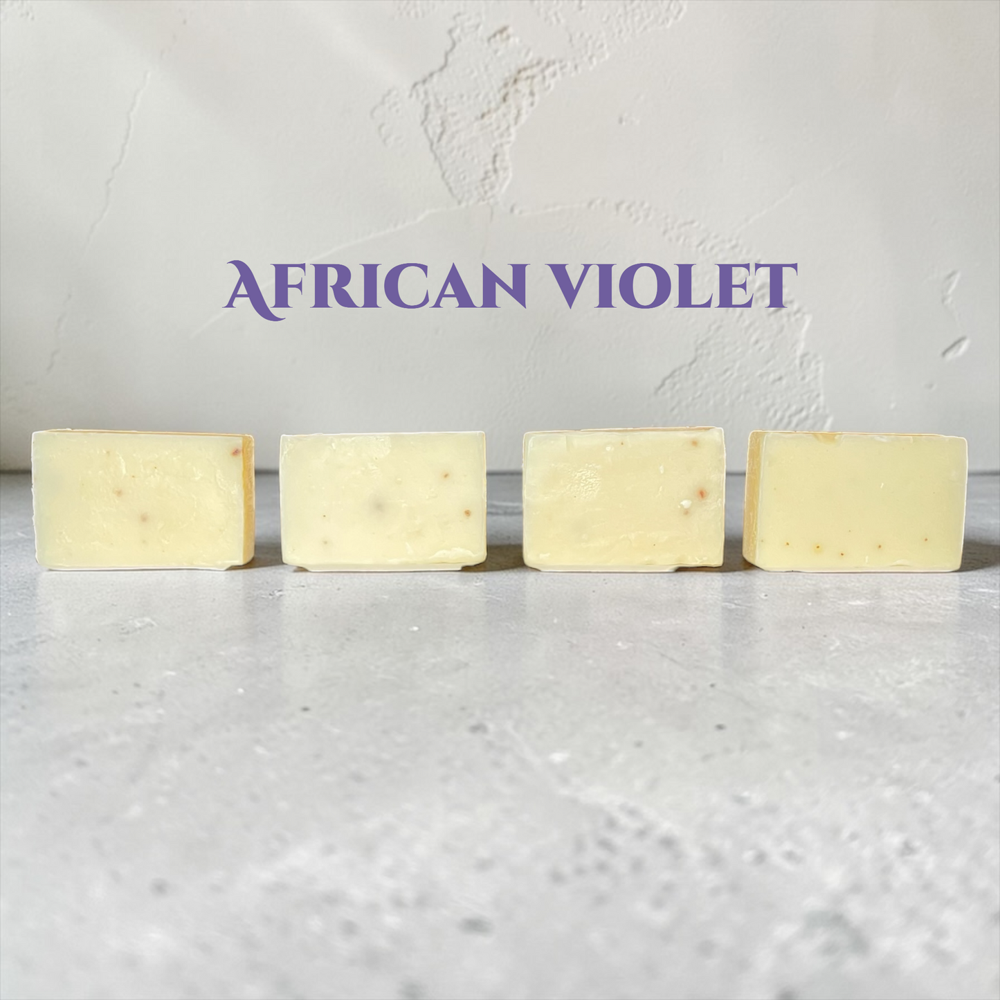 Bud Bliss Essential – African Violet