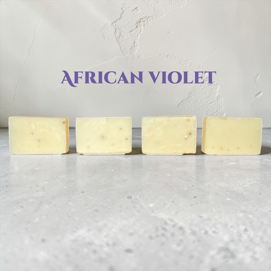 Bud Bliss Essential – African Violet