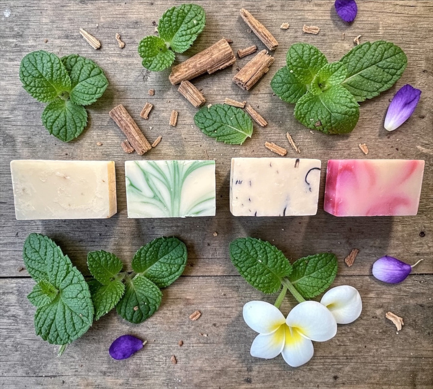 Bud Bliss Botanical Shampoo Bars