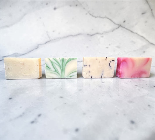 Bud Bliss Botanical Shampoo Bars