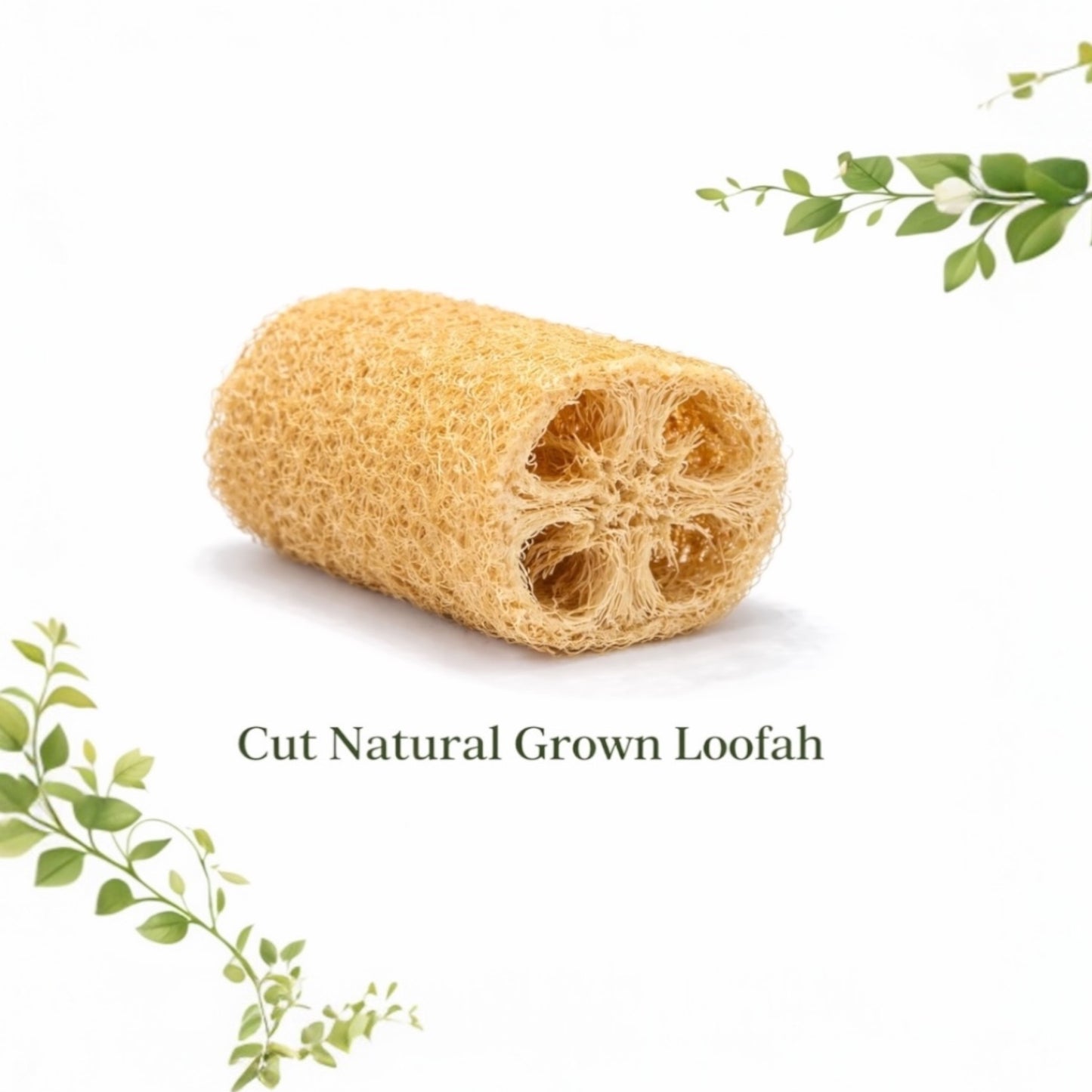 Cut Naturally Grown Loofah - Natural Bath, Face & Body Exfoliating Sponge